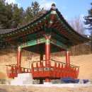 정자 이미지