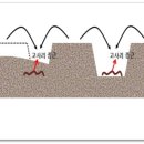 지리산금종영농조합법인 이미지
