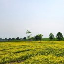 신흥공원 이미지