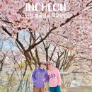 세븐일레븐 인천중구송월점 | 인천 벚꽃명소 자유공원 포토스팟 인천 아이랑 가볼만한곳