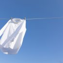 한길세탁소 이미지