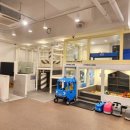 하모리-48 이미지