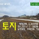 정강석 농장 Daum카페