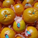 민우네농원 이미지