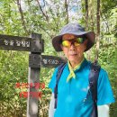 초안산헬기장 이미지