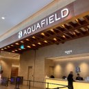 개와커피가썸타는날(개썸커피) | 주토피아・어향동고・지덕노체・가을맞이・이사준비・도원결의