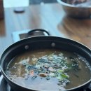 5664 | 성산 보말칼국수 보말죽 해월정 내돈내산 후기