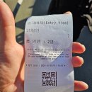가평아띠펜션 | 춘천 가평 나미나라 공화국 남이섬 여행(2일차)