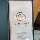 머꼬또양
