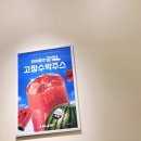 육회한연어수락산역점 | 🥗 샐러디 수락산역점 건강한 한 끼, 샐러디 수락산역점 후기