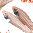 옹골씨푸드