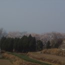 구)남상초등학교 이미지