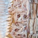 낚시꾼의 부엌 이미지