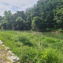 금산농장 이미지