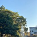 황금가든 | 용인 야외 바베큐 [황금가든] 내돈내산 솔직후기