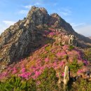 대포갯벌 | 덕룡산 주작산 종주 코스 후기 (진달래 산행, 구간별 상세 완벽 정리 )