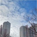 화산공인중개사사무소 이미지