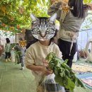 남면어린이집 | [육아 일상] 봄방학 광주 근교 아이와 가볼 만한 곳! 장성 하비스트랜드 분리 수업 &amp; 피크닉 꿀팁 🍓🦖