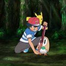 소나무동물메디컬 센터 이미지