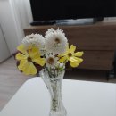 고마워꽃 네이버블로그