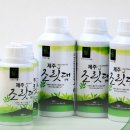 제주느낌 이미지