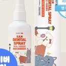 강아지와 고양이 이미지