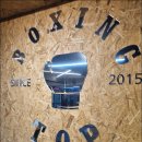 성남 탑 복싱 이미지