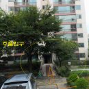 무궁화태영 이미지