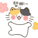 세담찹쌀꽈배기 이미지