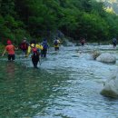 숲속의 계곡 이미지