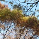 (주)다솔푸드 네이버블로그