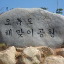돋보이 개 Daum카페