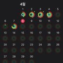 (주)한강식품 | 12펜 완료 유지중인 후기(품절 대란/또다시 위고비로...주먹밥/한끼통살/바르닭/벌키니/한강식품/프로티원)