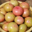 예천군농산물산지유통센터 이미지