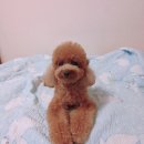 두나의 하루 이미지