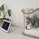 이슬펜션 | [내돈내산] 가성비 넘치는 충남 서산 감성 숙소 《이슬펜션》 겨울 바베큐까지 완벽❄️