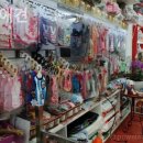 갈마애견 이미지