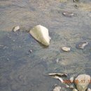 비치호텔 이미지