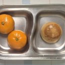 꿈드림유치원 이미지