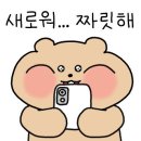 까사델 경주 이미지