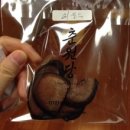 춘원당한의원 이미지