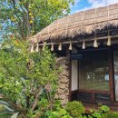 씨에스 호텔 | 제주 중문 아로마 씨에스아로마 씨에스호텔에서 즐긴 아로마테라피 후기