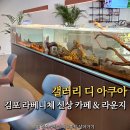 줌 갤러리카페 정이든케이크 | 김포 장기동 카페 갤러리 디 아쿠아, 아이와 함께 수족관 물멍 즐기는 라베니체 신상 카페