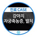 강동24시SKY 동물병원 이미지