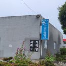 구남손세차