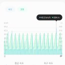 씨라인 이미지