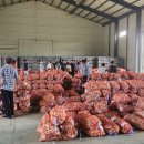 산청군농협생초지점 이미지