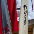 위즈디아 이미지