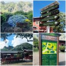 EG투어버스 H코스 | [하와이 여행]아이랑 쿠알로아랜치 (Kualoa Ranch) 투어 /액티비티 소개/이용후기