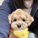 단지커피 | 파주출판단지카페 페이지온커피 방문후기